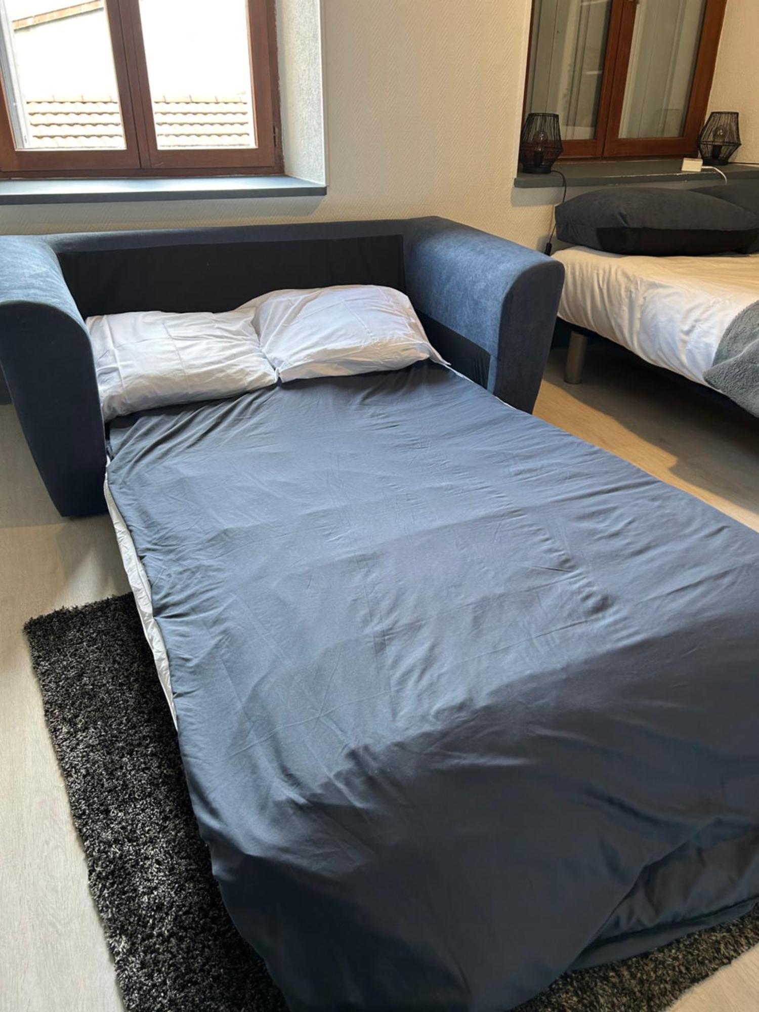 Studio De 30M² Hypercentre Tres Calme Montbéliard Eksteriør billede