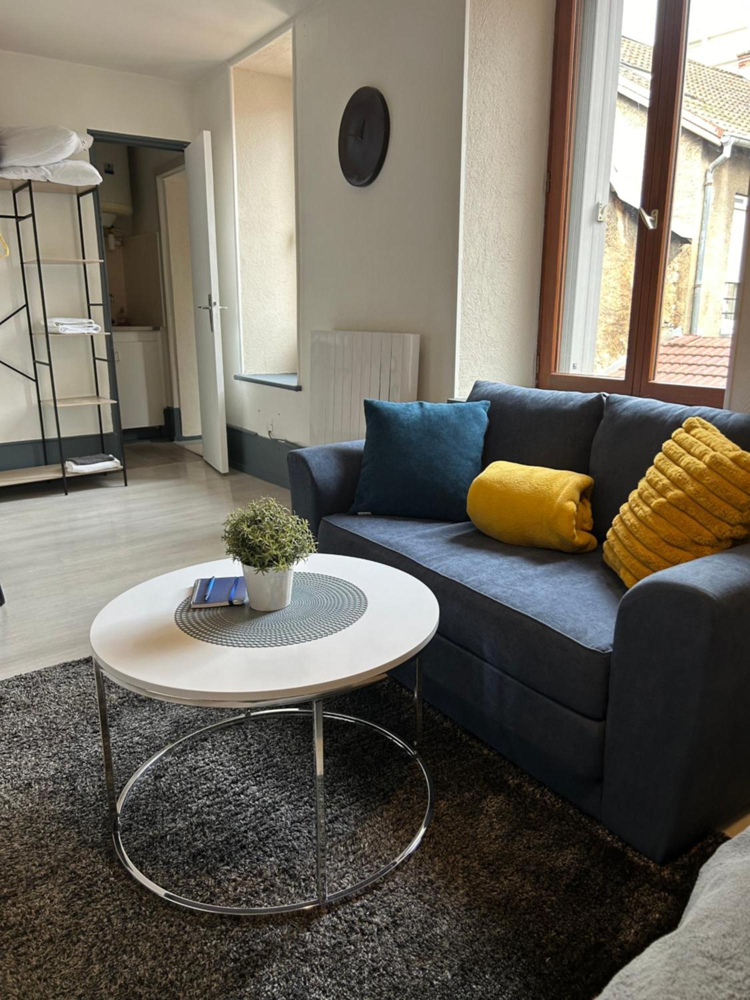 Studio De 30M² Hypercentre Tres Calme Montbéliard Eksteriør billede
